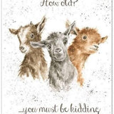 How Old? Birthday Greeting Card