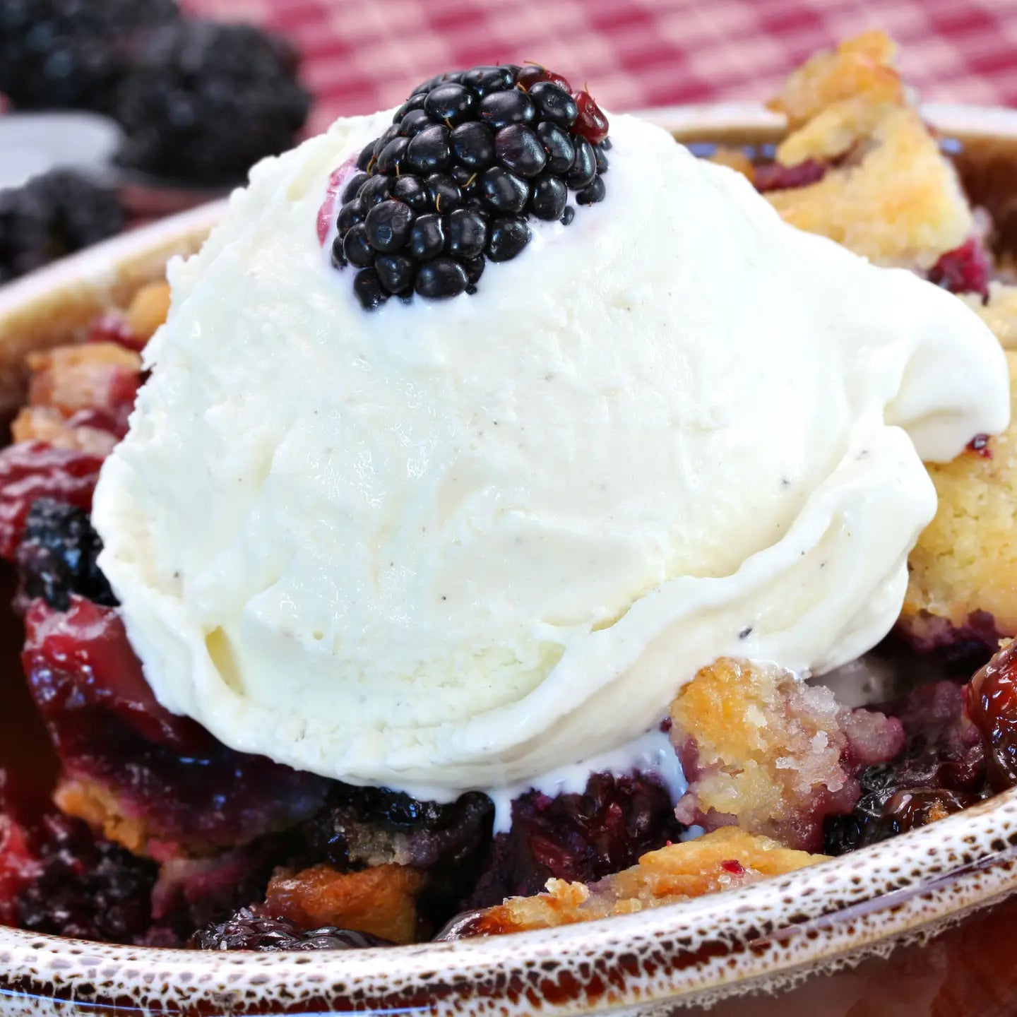 Blackberry Cobbler Mix