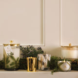 Frasier Fir Gilded Frosted Wood Grain Candle 9 oz