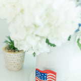 Nora Fleming Stars And Stripes Forever Mini