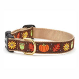 Harvest Time Dog Collar