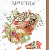Purrrfect Birthday Greeting Card