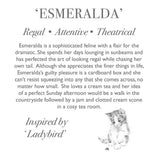 Cat Medium Plush Esmerelda