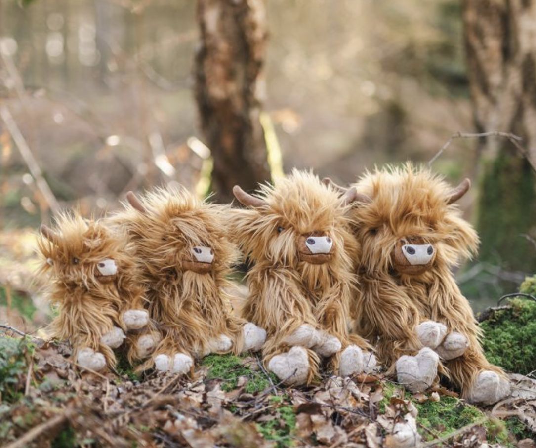Highland Cow Medium Plush Gordon