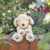 Labrador Medium Plush Ralph