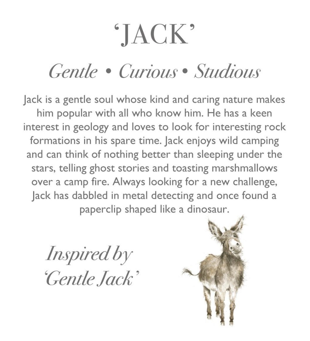 Donkey Medium Plush Jack