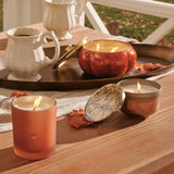 Pumpkin Laurel Universal Tin Candle 6.5 oz