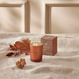 Pumpkin Laurel Boxed Candle 6.5 oz